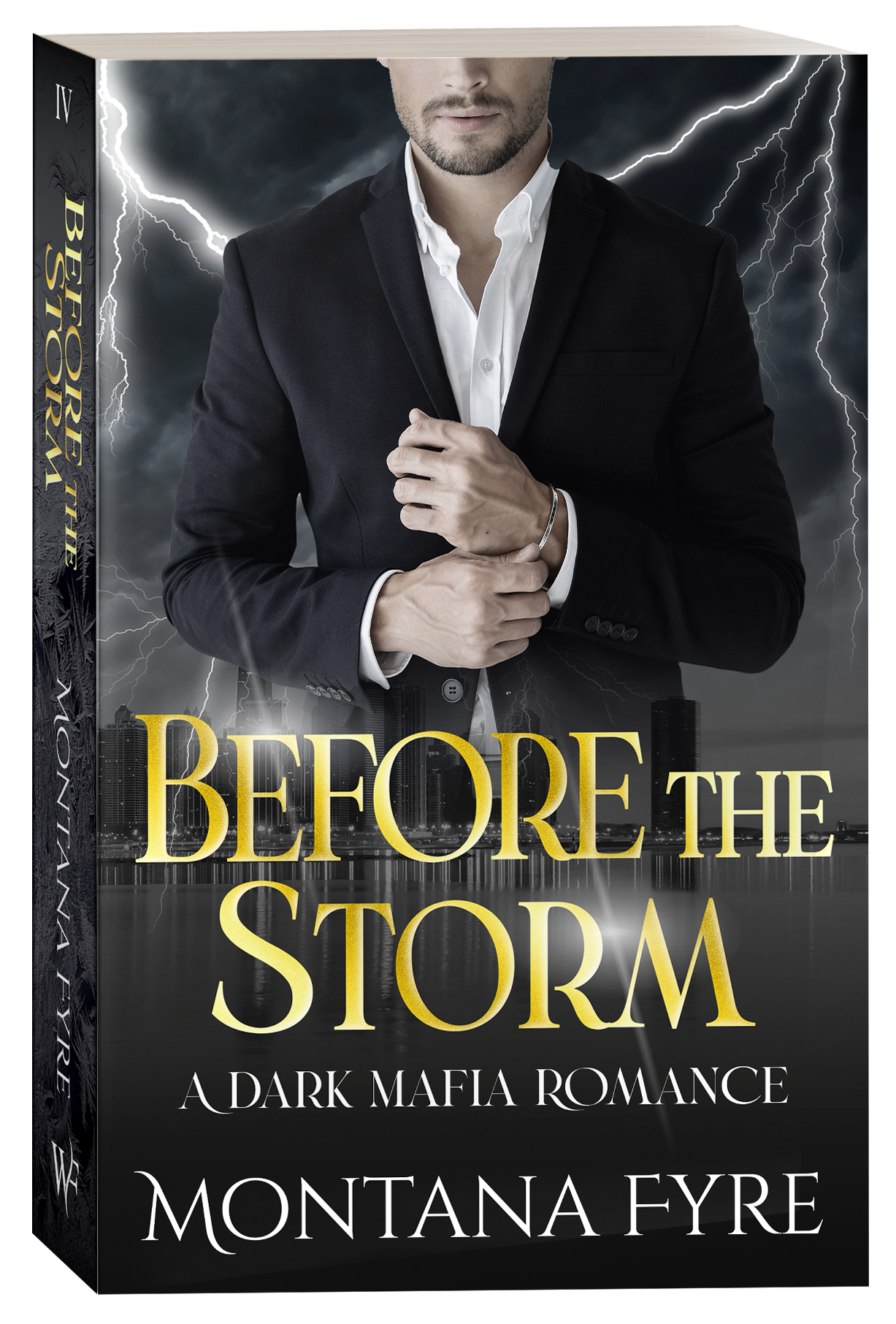 Before the Storm (Book 4)